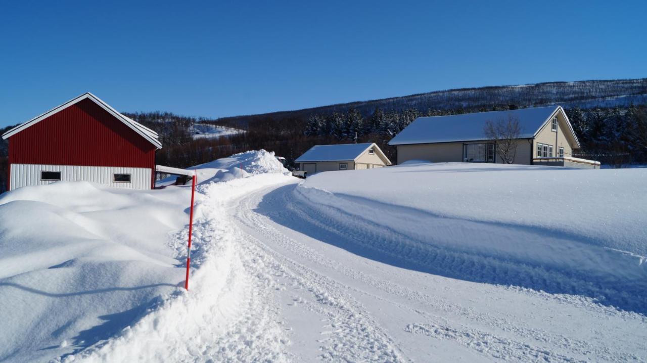 Heggelund Villa Svensby Kültér fotó